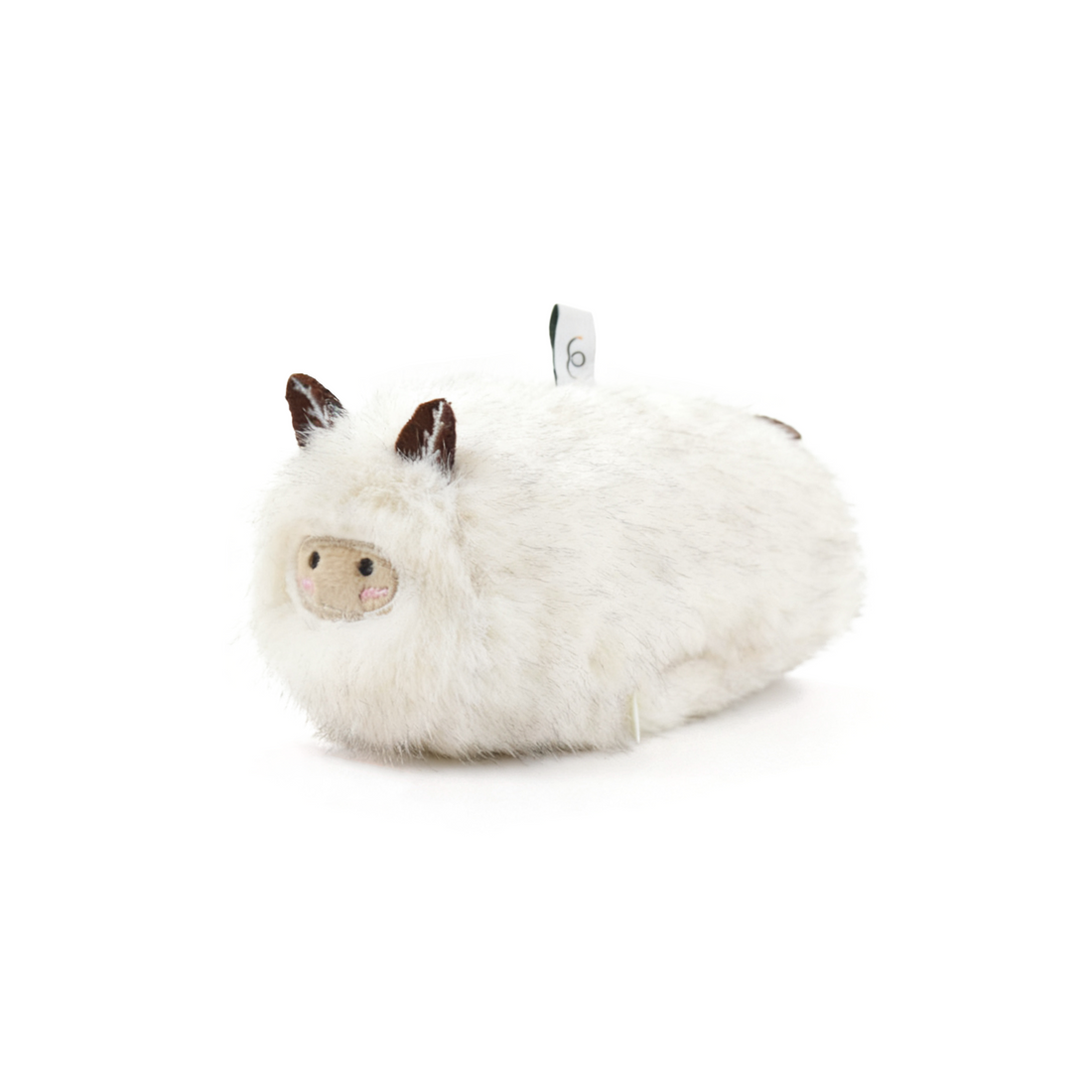 bobopal seaslug cat toy