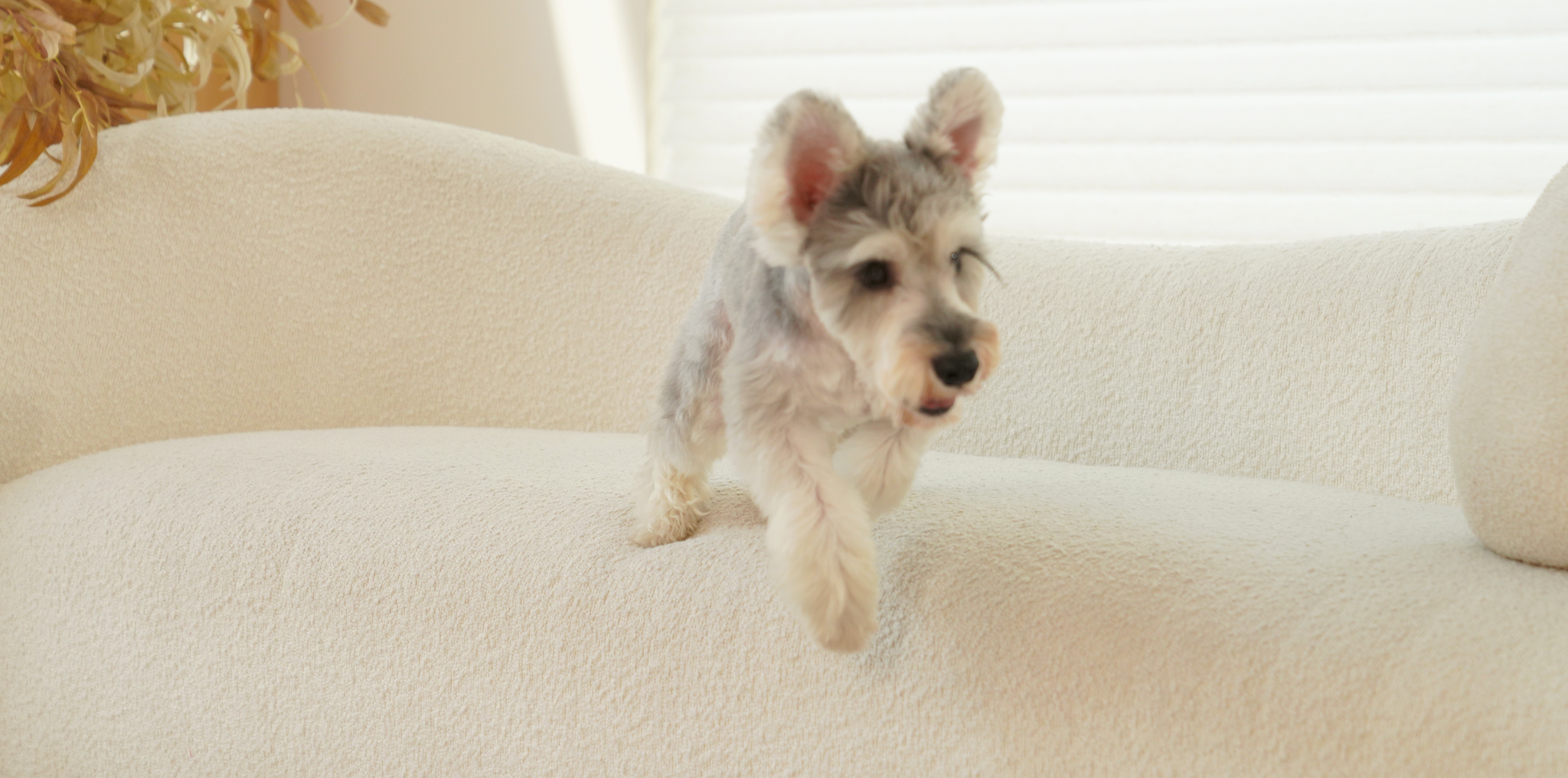 To craft beautiful, intuitive products that honor the sacred daily rituals between pets and their people, inspired by the simple truth that profound bonds are built not in grand moments, but in the, consistent imagination of care.